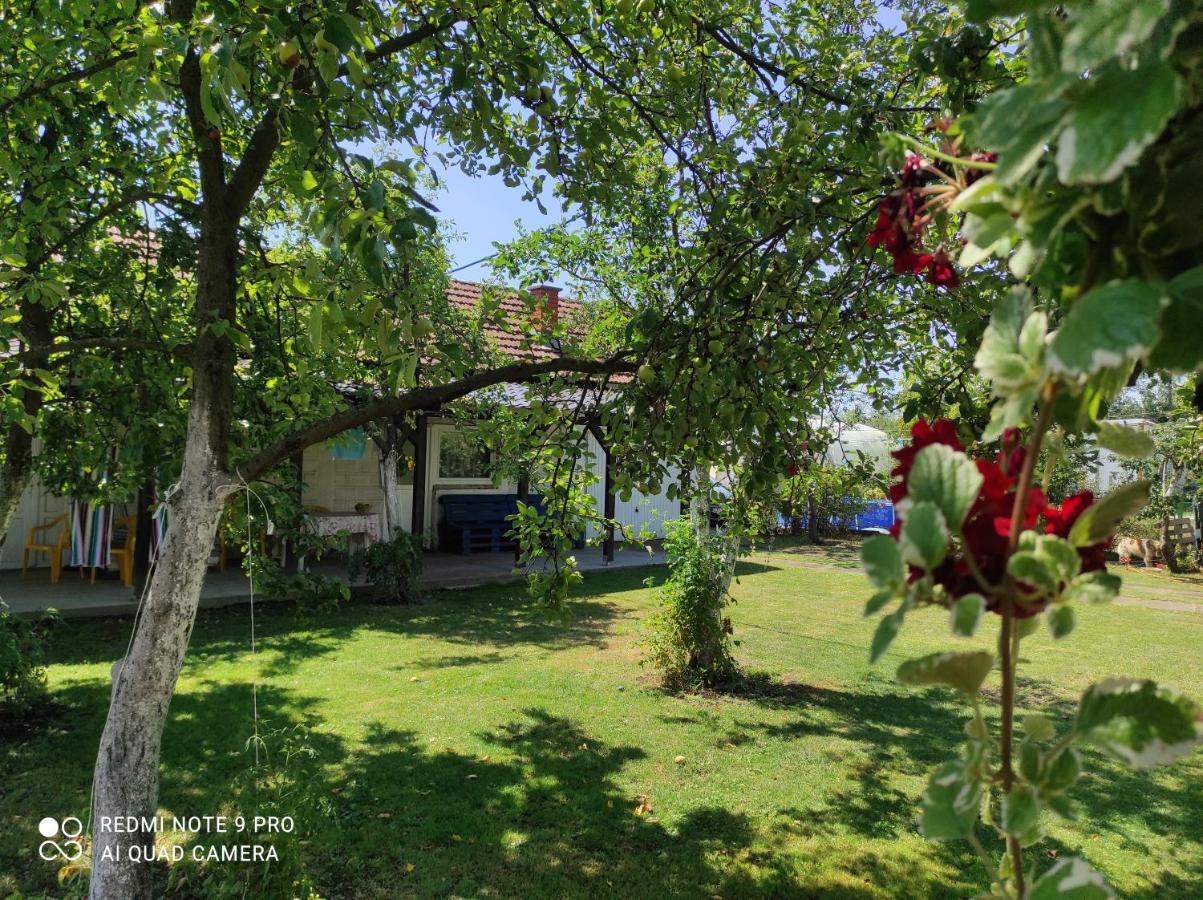 Home Of Nature - Kuca Prirode Odžak Buitenkant foto