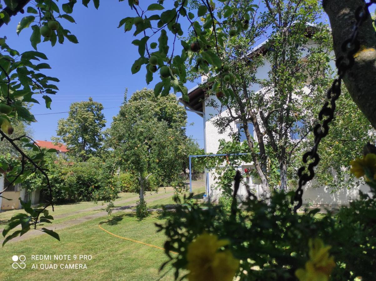 Home Of Nature - Kuca Prirode Odžak Buitenkant foto